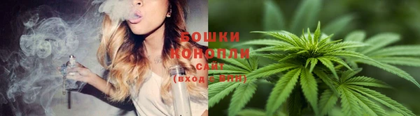 кокс Нея