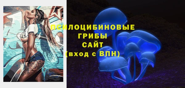 кокс Нея