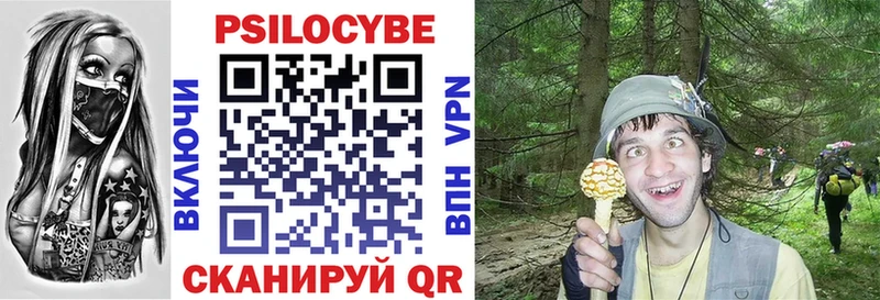 OMG зеркало  мориарти как зайти  Галлюциногенные грибы Magic Shrooms  Дальнереченск 