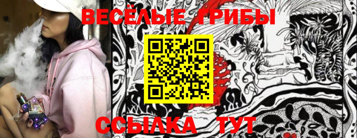 Галлюциногенные грибы мухоморы  купить наркоту  Дальнереченск 