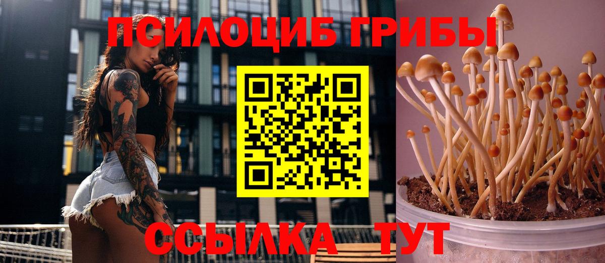 Кокаин  Марихуана  Канабис  Дальнереченск  Мефедрон   ГАШ  Вход с VPN 