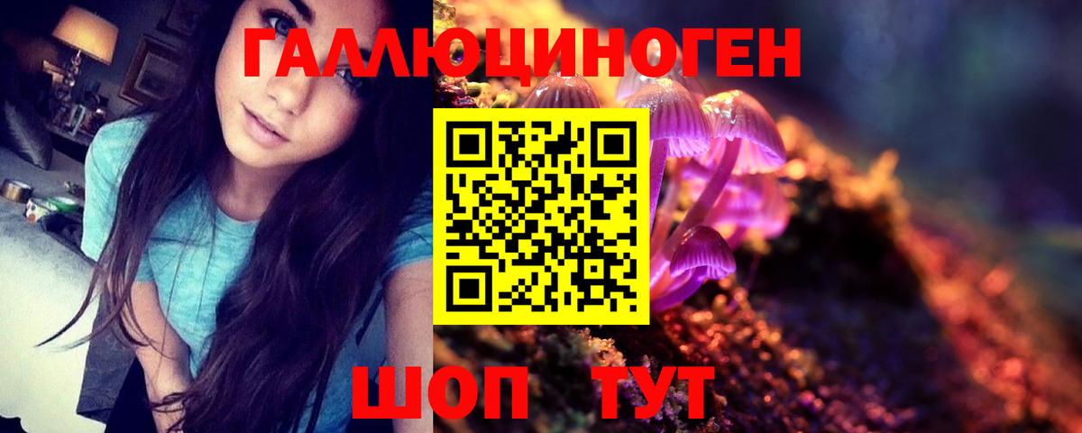 Псилоцибиновые грибы прущие грибы Дальнереченск